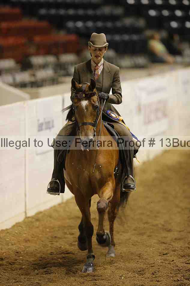 Proof 13buck_5151