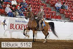 13buck_5152 proof