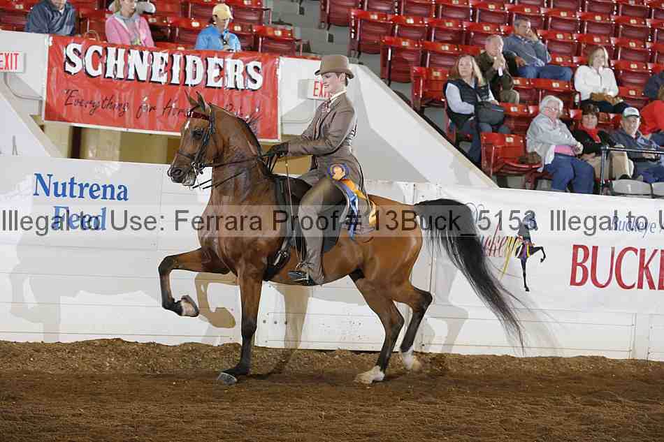 Proof 13buck_5153