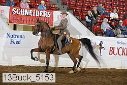 13buck_5153 proof