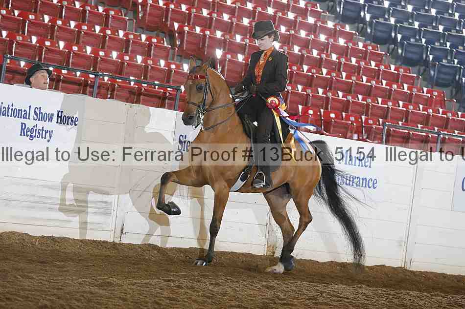 Proof 13buck_5154