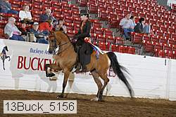 13buck_5156 proof
