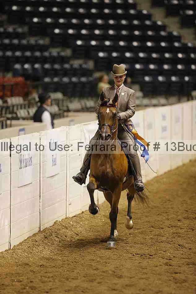 Proof 13buck_5157