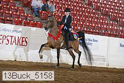 13buck_5158 proof