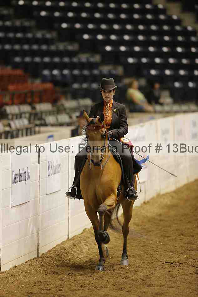 Proof 13buck_5160