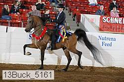 13buck_5161 proof