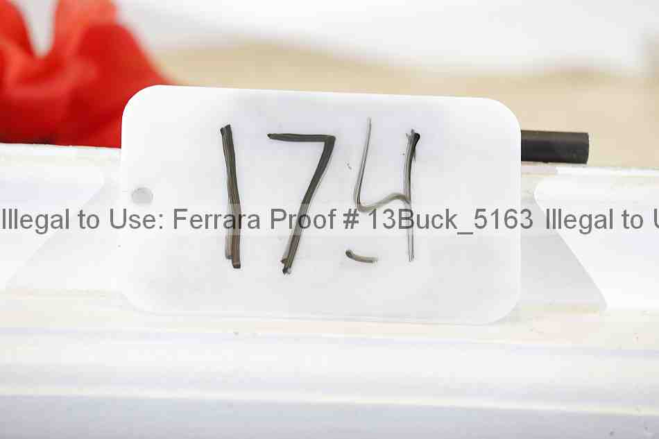 Proof 13buck_5163