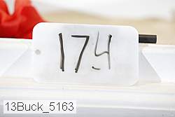 13buck_5163 proof