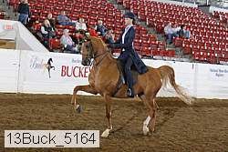 13buck_5164 proof