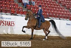 13buck_5165 proof
