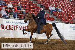 13buck_5167 proof