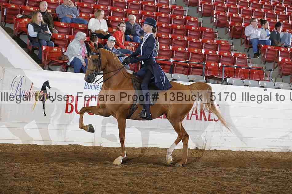 Proof 13buck_5170