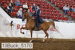 13buck_5170 proof