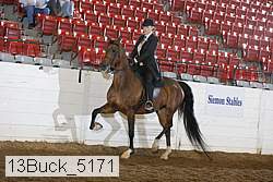 13buck_5171 proof