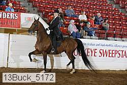 13buck_5172 proof