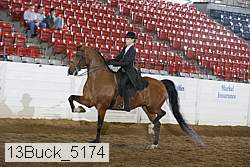 13buck_5174 proof