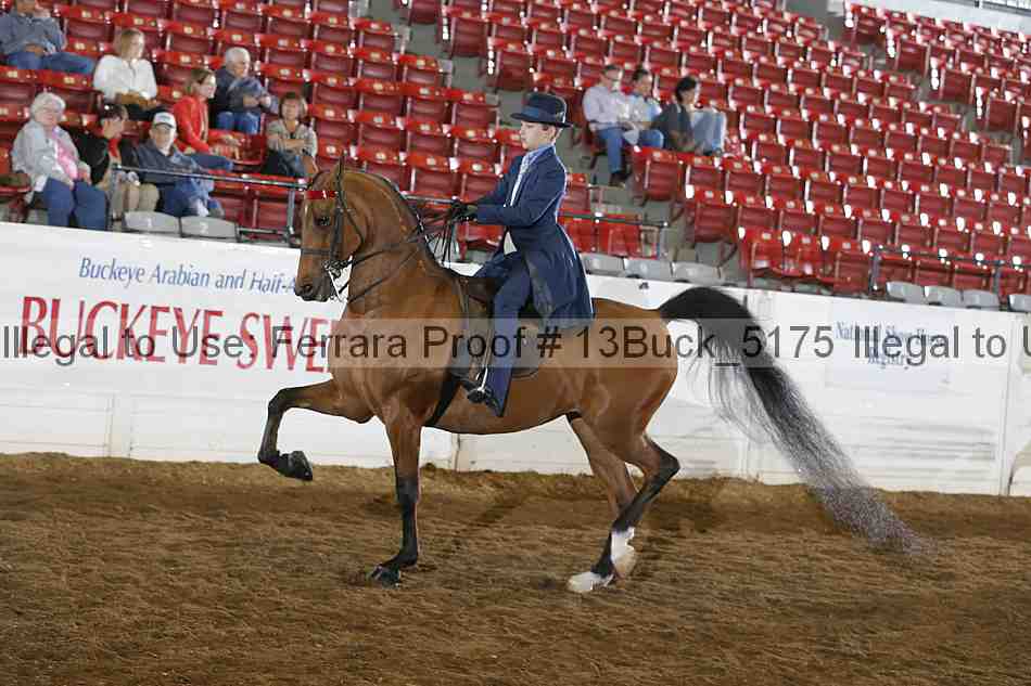 Proof 13buck_5175