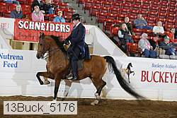 13buck_5176 proof