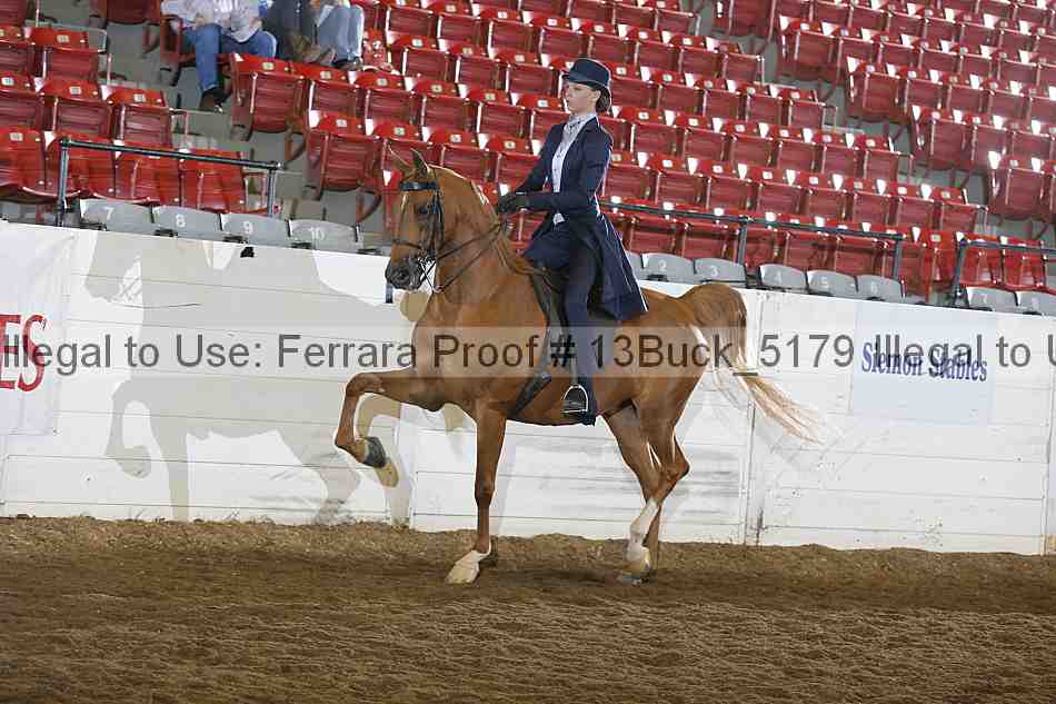 Proof 13buck_5179