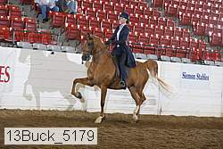 13buck_5179 proof