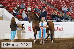 13buck_5180 proof