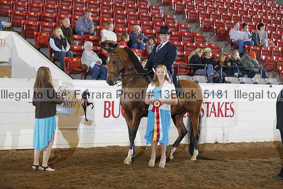 Proof 13buck_5181