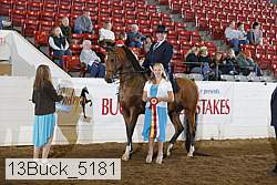 13buck_5181 proof