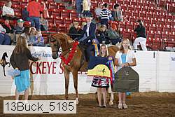 13buck_5185 proof