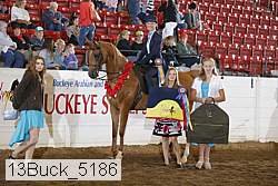 13buck_5186 proof