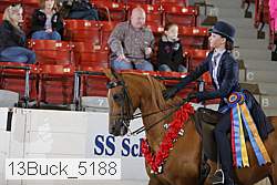 13buck_5188 proof