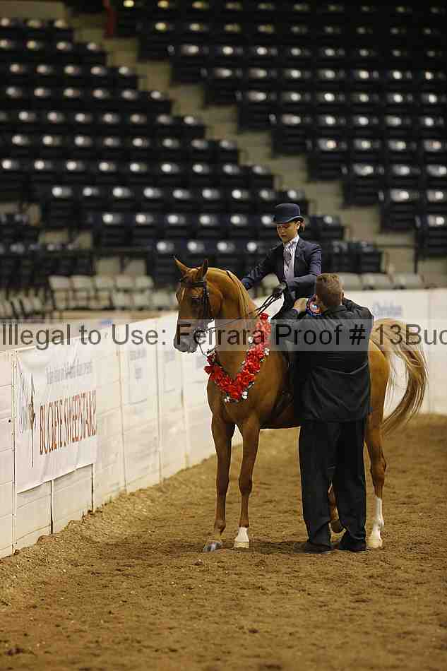 Proof 13buck_5189
