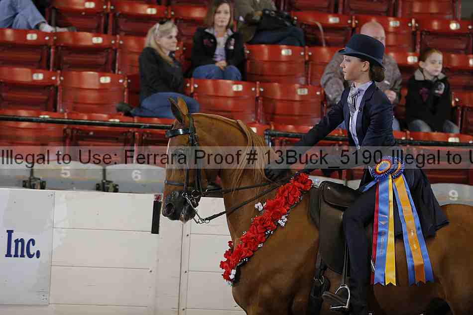 Proof 13buck_5190