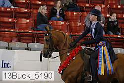 13buck_5190 proof