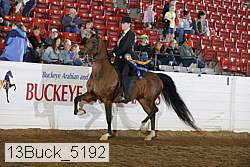 13buck_5192 proof