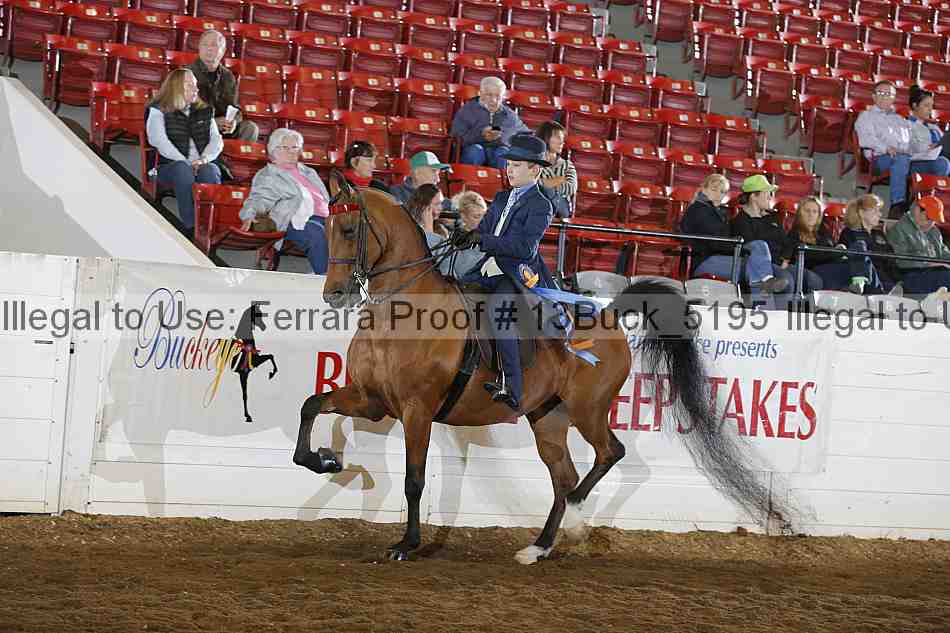 Proof 13buck_5195