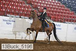 13buck_5196 proof