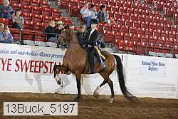 13buck_5197 proof