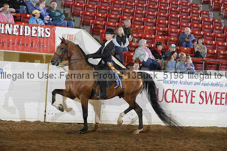 Proof 13buck_5198