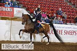 13buck_5199 proof