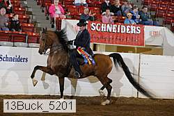 13buck_5201 proof