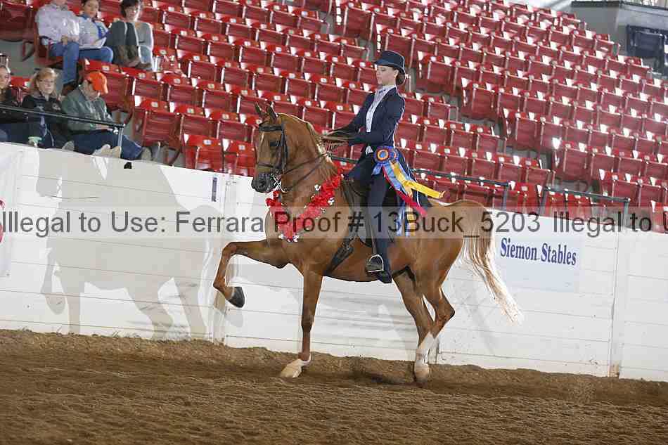 Proof 13buck_5203