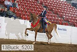 13buck_5203 proof