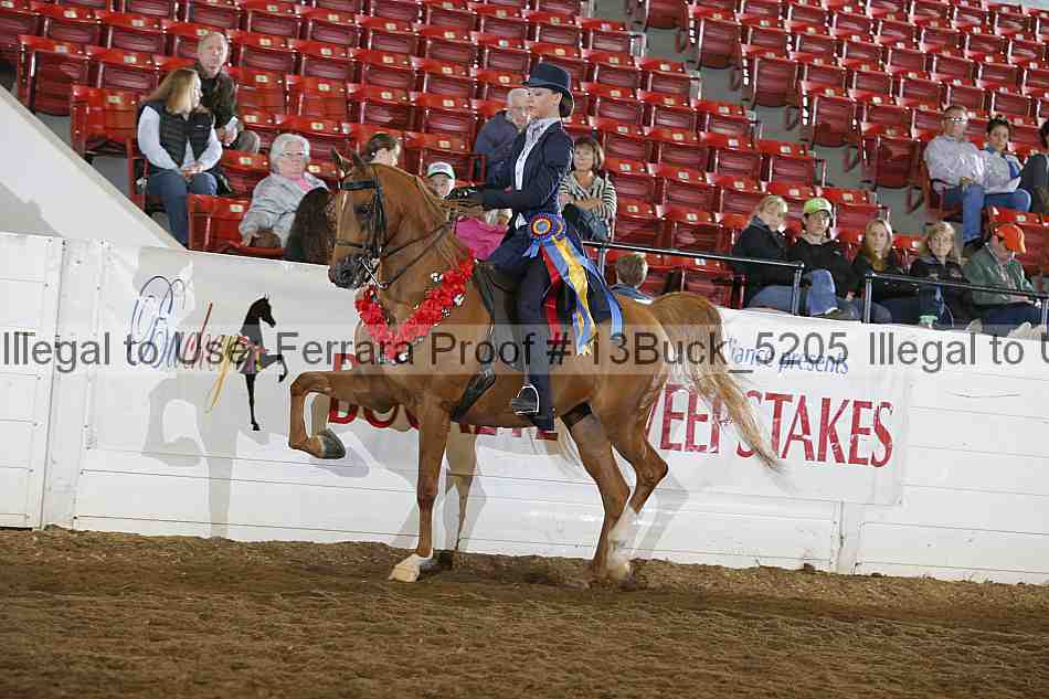 Proof 13buck_5205