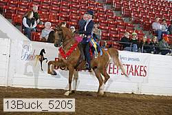 13buck_5205 proof