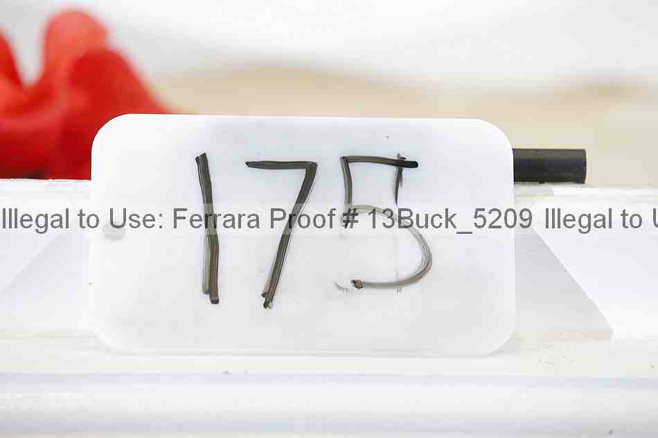 Proof 13buck_5209