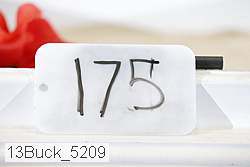 13buck_5209 proof