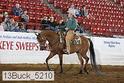 13buck_5210 proof