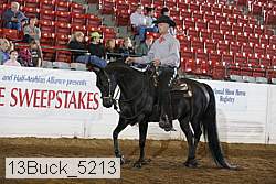 13buck_5213 proof