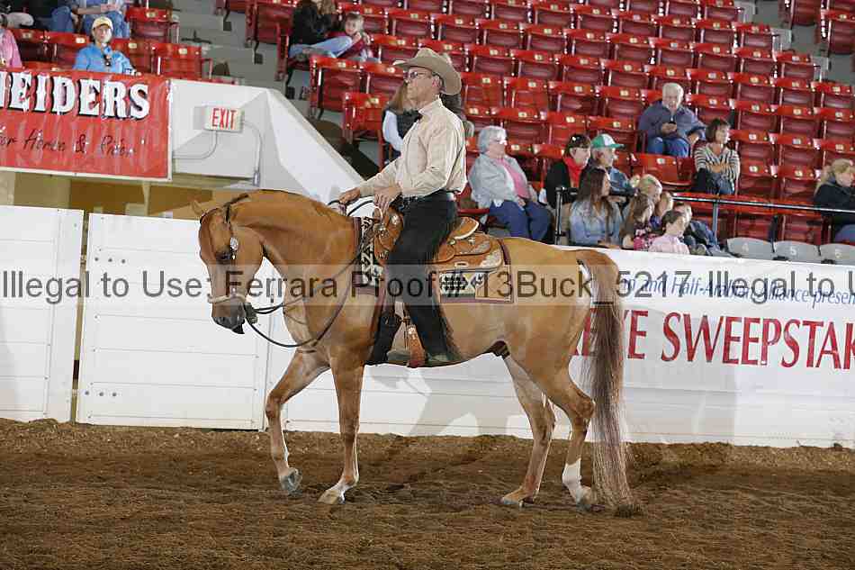 Proof 13buck_5217
