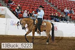 13buck_5223 proof